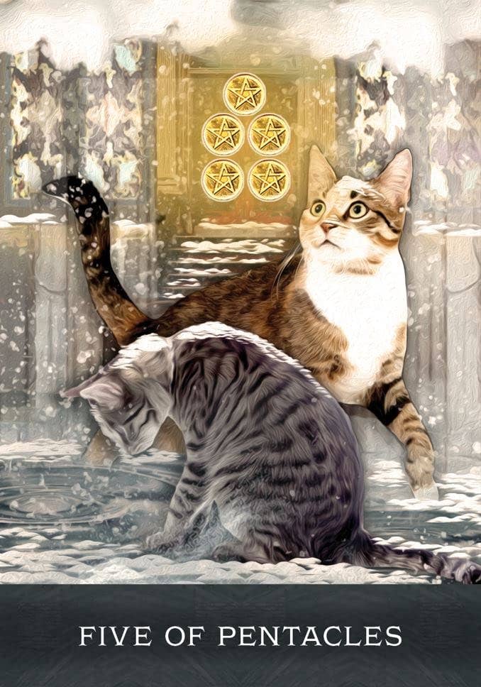 Grimalkin's Curious Cats Tarot Cards